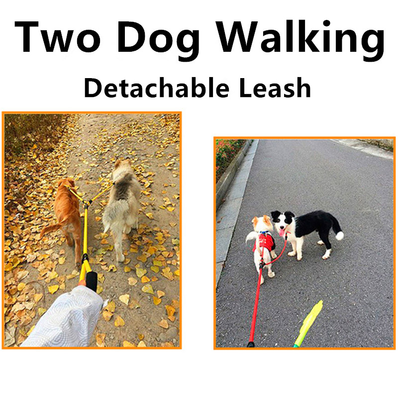 Dog Leash Double Leashes for D - Leather Strap Quick Release 评论和价格