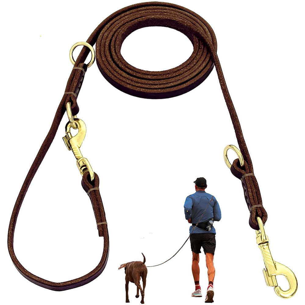 Multi Function Leather Dog Lea - Leather Strap Quick Release 评论和价格