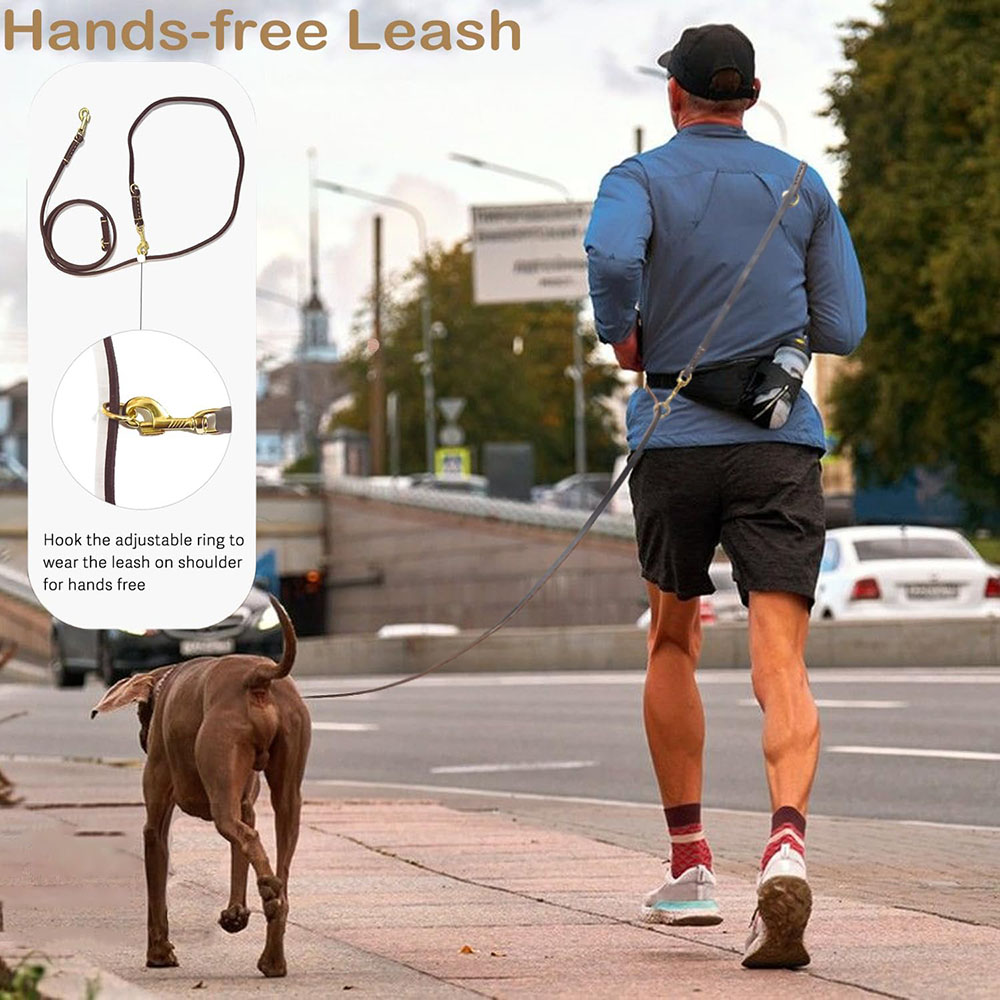 Multi Function Leather Dog Lea - Leather Strap Quick Release 评论和价格